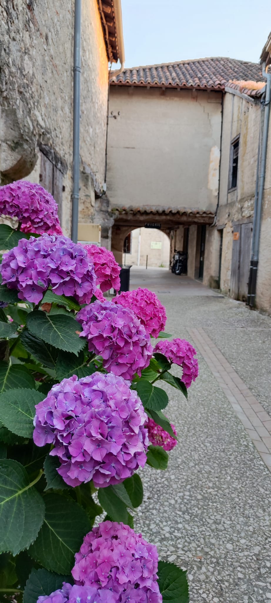 Ein Bild, das drau�en, Geb�ude, Blume, Pflanze enth�lt.

KI-generierte Inhalte k�nnen fehlerhaft sein.